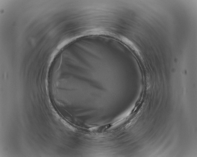 X0000073891334200609011643