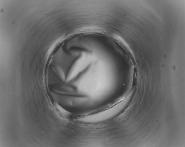 X0000073891336200609011643