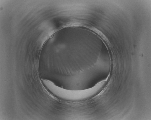 X0000073891337200609011643