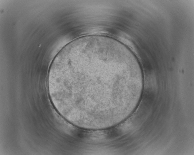 X0000073891338200609011643