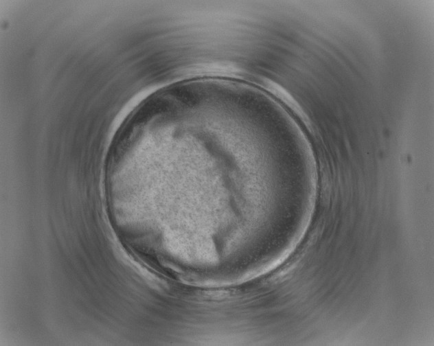 X0000073891339200609011643