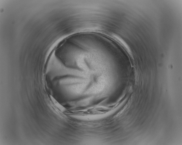 X0000073891340200609011644