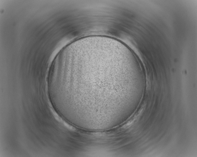 X0000073891341200609011644