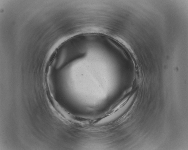 X0000073891342200609011644