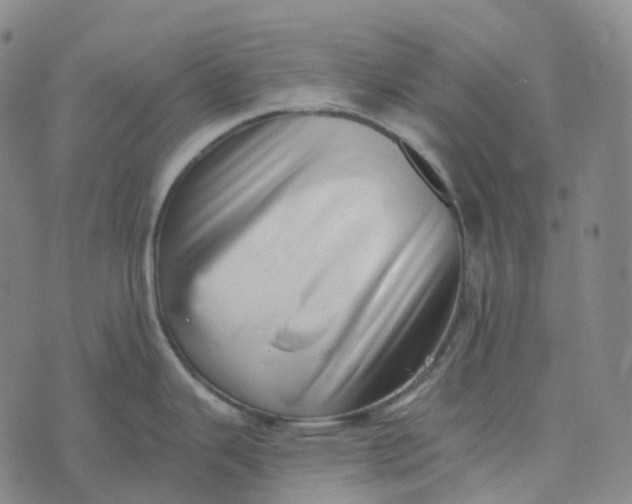 X0000073891343200609011644