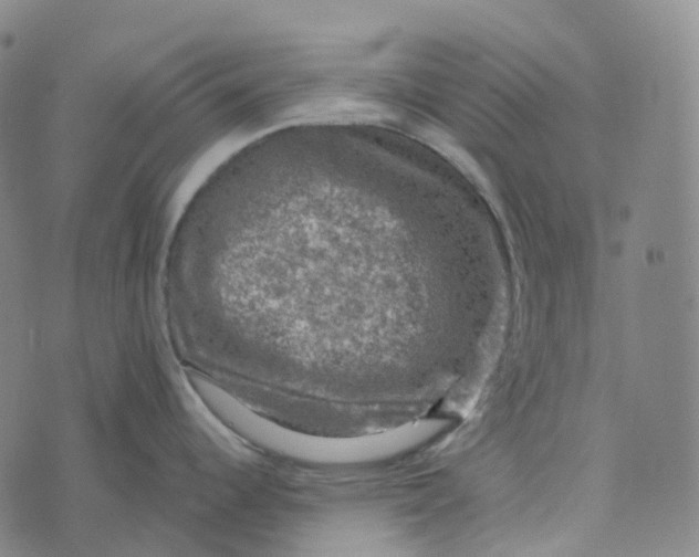 X0000073891344200609011644