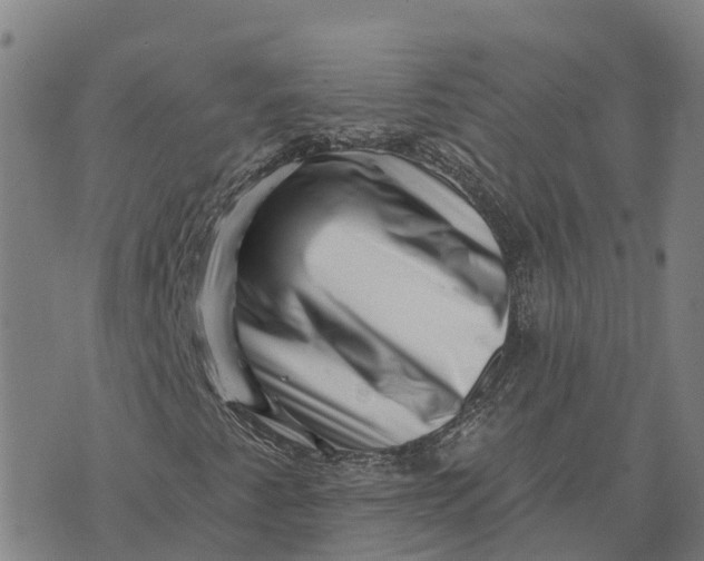 X0000073891345200609011643