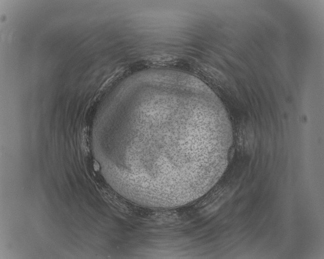 X0000073891346200609011643