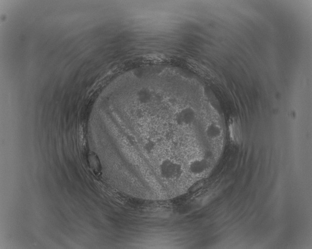 X0000073891347200609011643