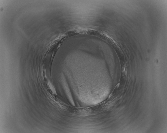 X0000073891348200609011643