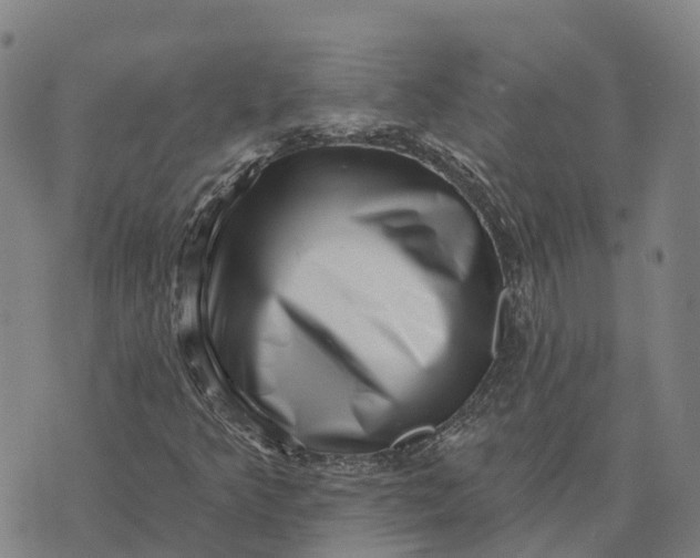 X0000073891349200609011643