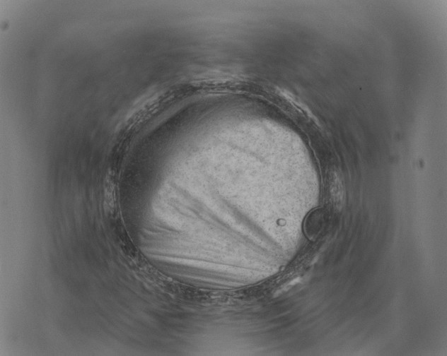 X0000073891350200609011643