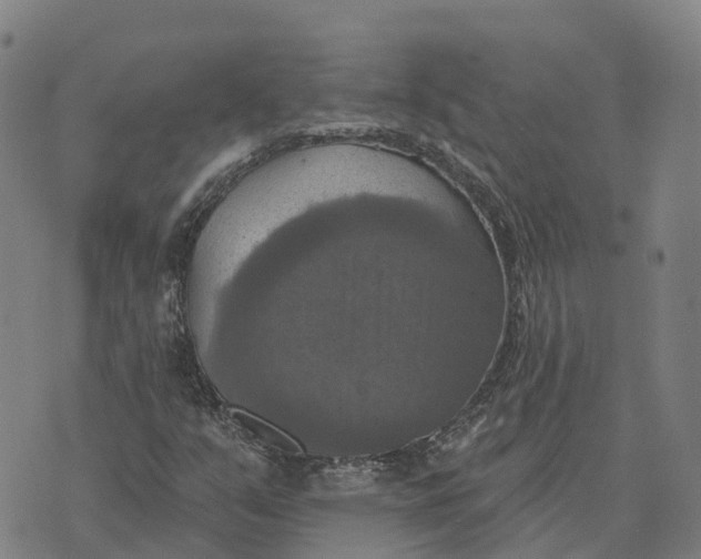 X0000073891351200609011643