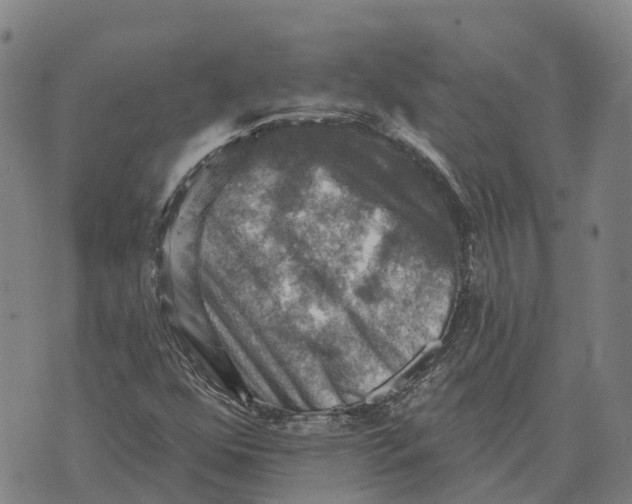 X0000073891352200609011643