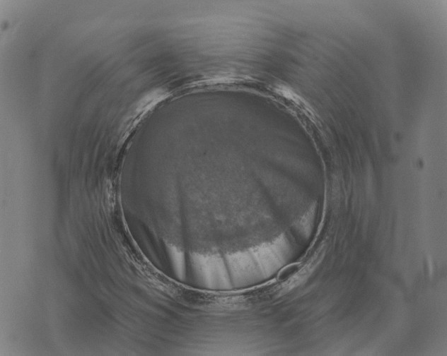 X0000073891353200609011643