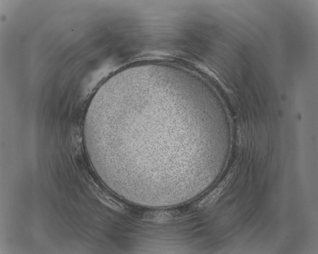 X0000073891355200609011643