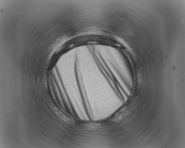 X0000073891356200609011643