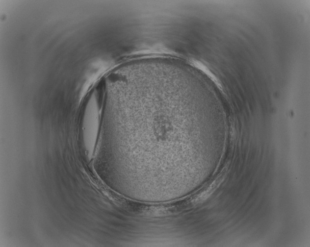 X0000073891357200609011643