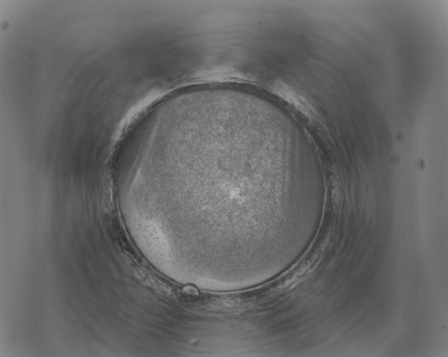 X0000073891358200609011643