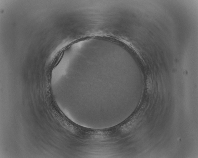 X0000073891359200609011643