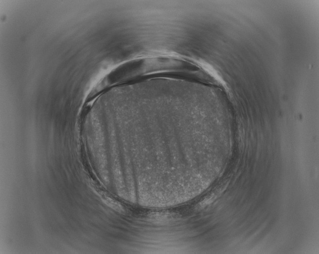 X0000073891364200609011642