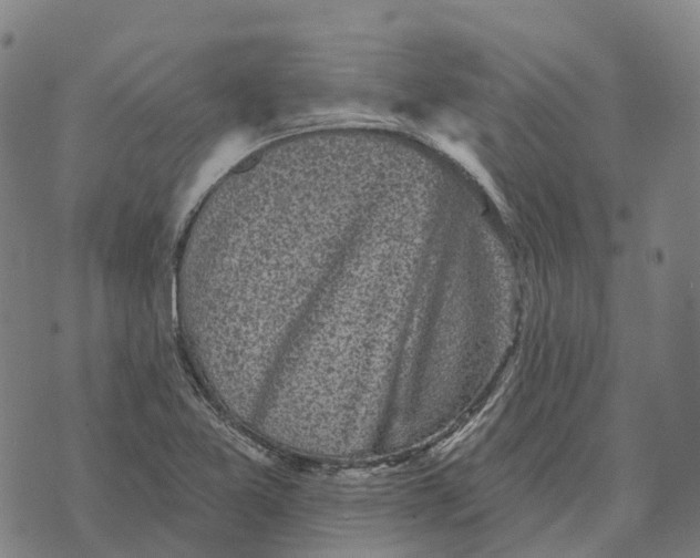 X0000073891365200609011642