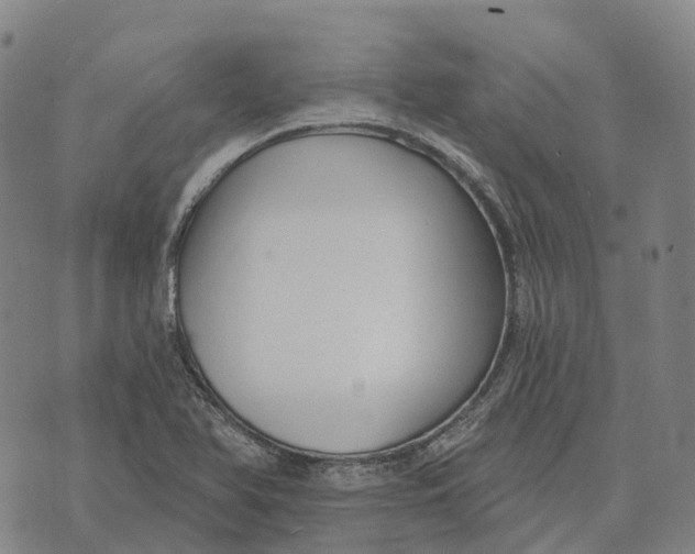 X0000073891366200609011642