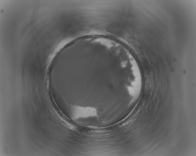 X0000073891367200609011642