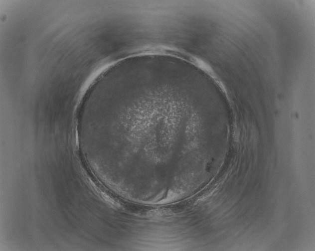 X0000073891368200609011642