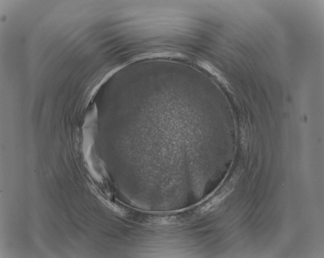 X0000073891369200609011642