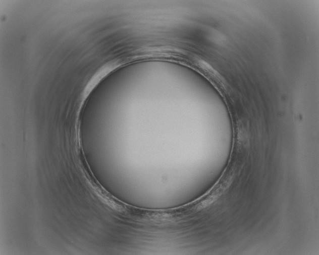 X0000073891370200609011642