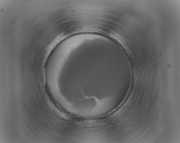 X0000073891371200609011642