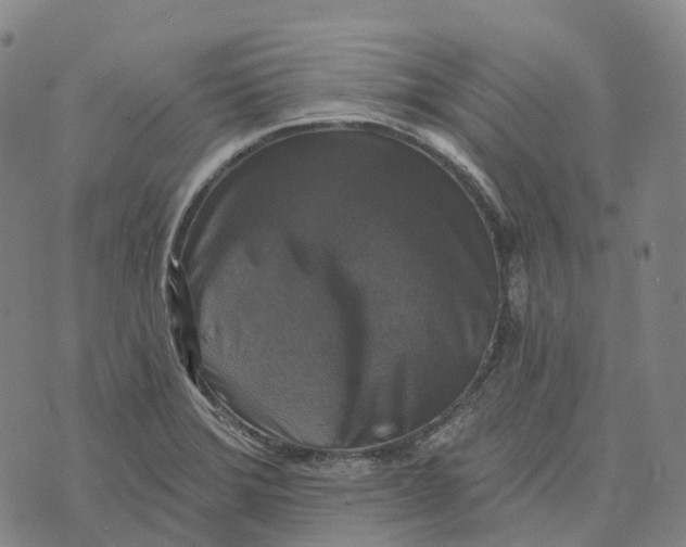 X0000073891372200609011642