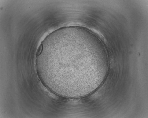 X0000073891374200609011642