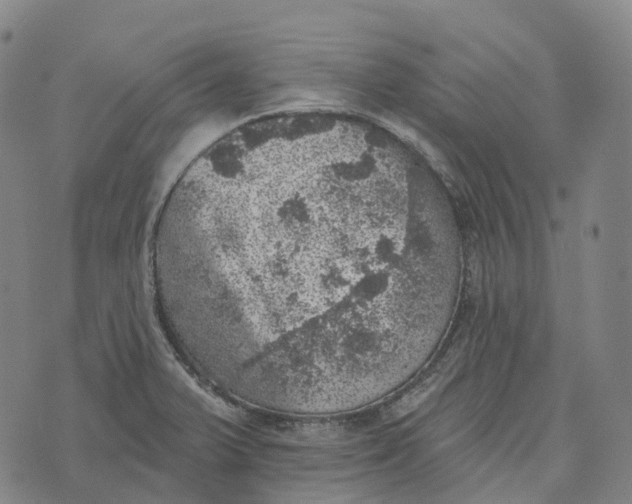 X0000073891375200609011642