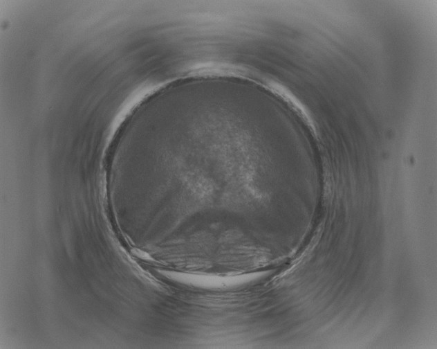 X0000073891376200609011642