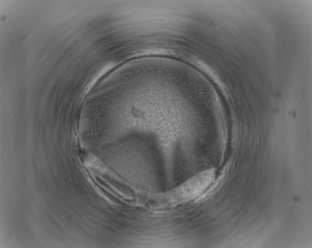 X0000073891377200609011642