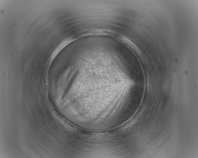 X0000073891378200609011642