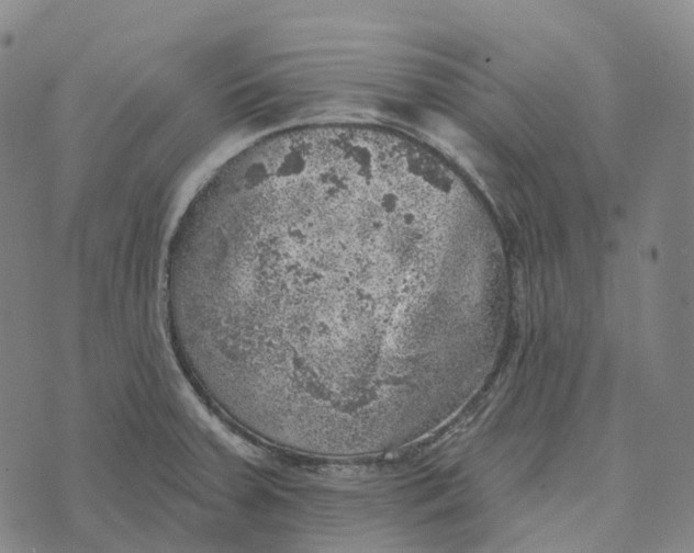 X0000073891379200609011642