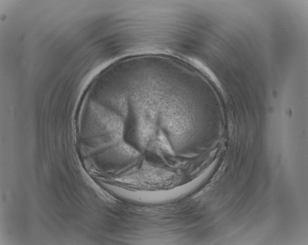 X0000073891380200609011642