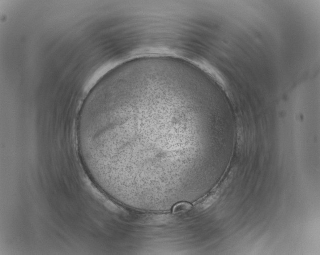 X0000073891382200609011642