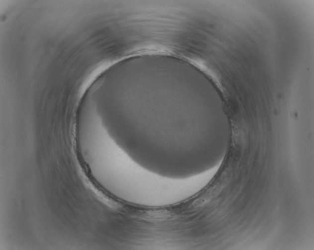 X0000073891383200609011642