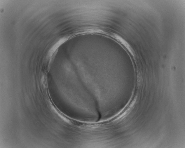 X0000073891385200609011642