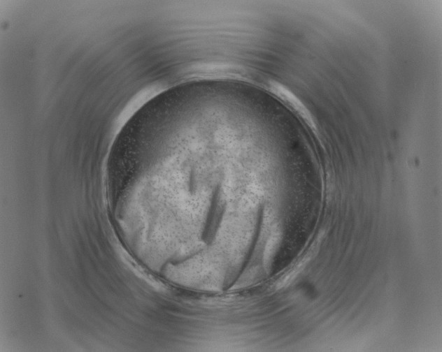 X0000073891386200609011642