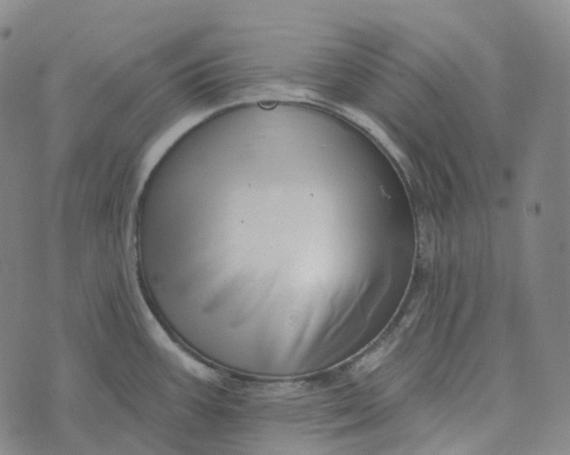 X0000073891387200609011642