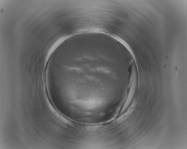 X0000073891389200609011642