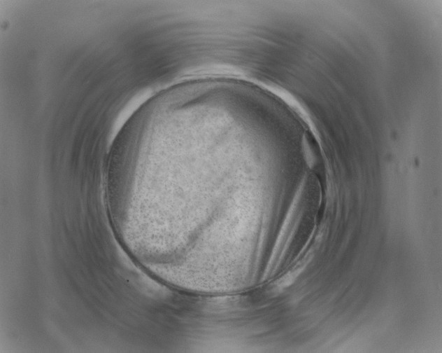 X0000073891390200609011642