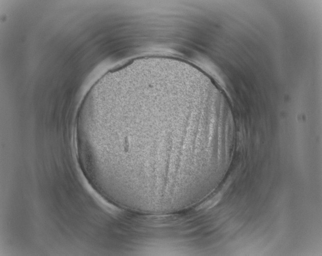 X0000073891391200609011642