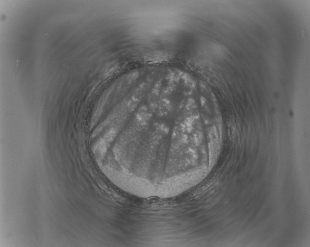 X0000073891393200609011641