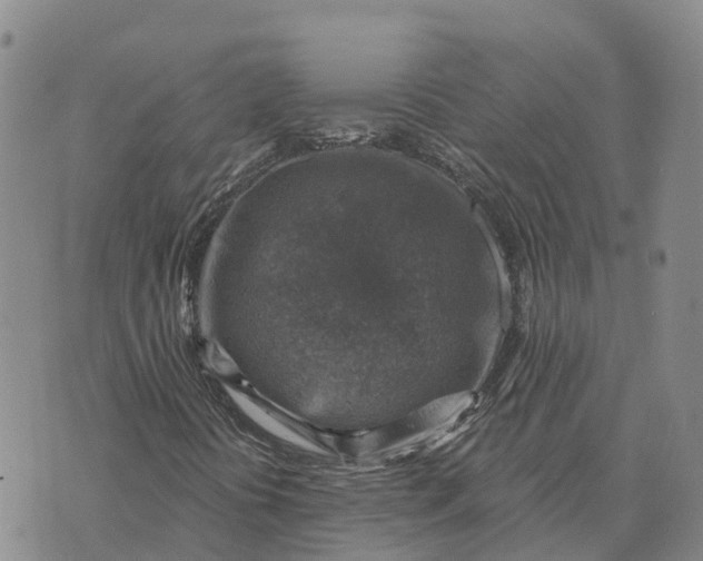 X0000073891394200609011641